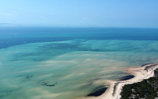 Exclusive Beachfront Oasis